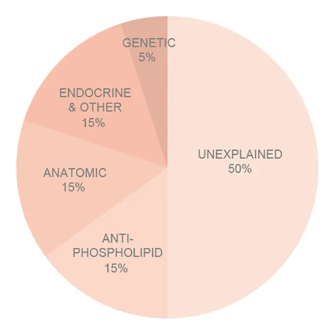 Recurrent Miscarriage pie chart