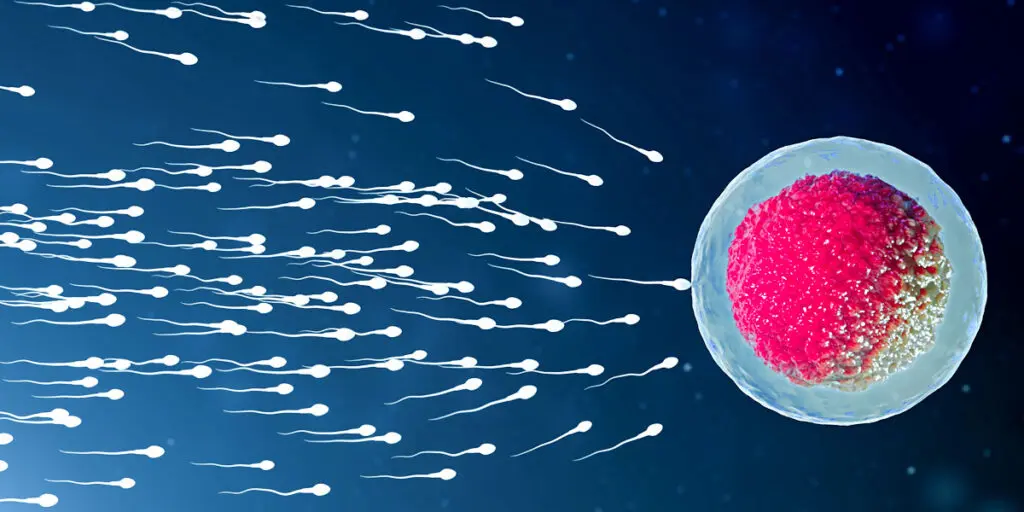 Ellsworth Plastic Surgery Breakthrough in Sperm DNA Testing: Understanding Male Infertility