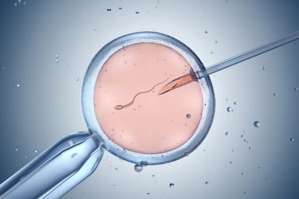 Ellsworth Plastic Surgery The psychological impact of the IVF journey on emotional well-being