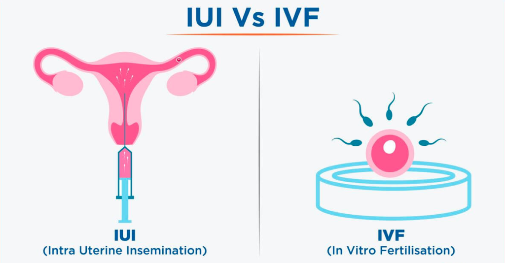 Ellsworth Plastic Surgery IUI vs IVF Comparison: Key Differences and Considerations