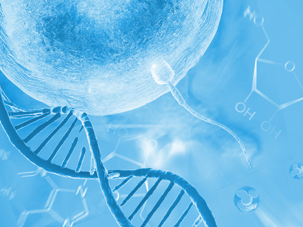 Ellsworth Plastic Surgery Genetic Factors in Male Infertility: Understanding the Role of Chromosomal Abnormalities and Mutations