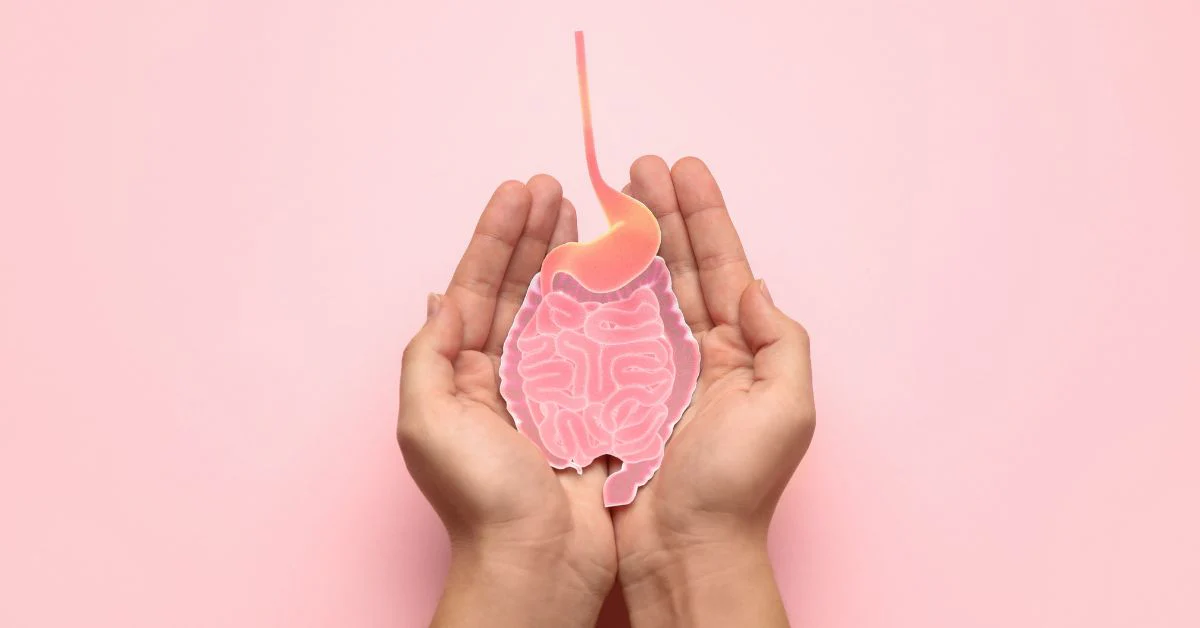 Fertility and Gut Health Connection: Boost Your Reproductive Health - Image