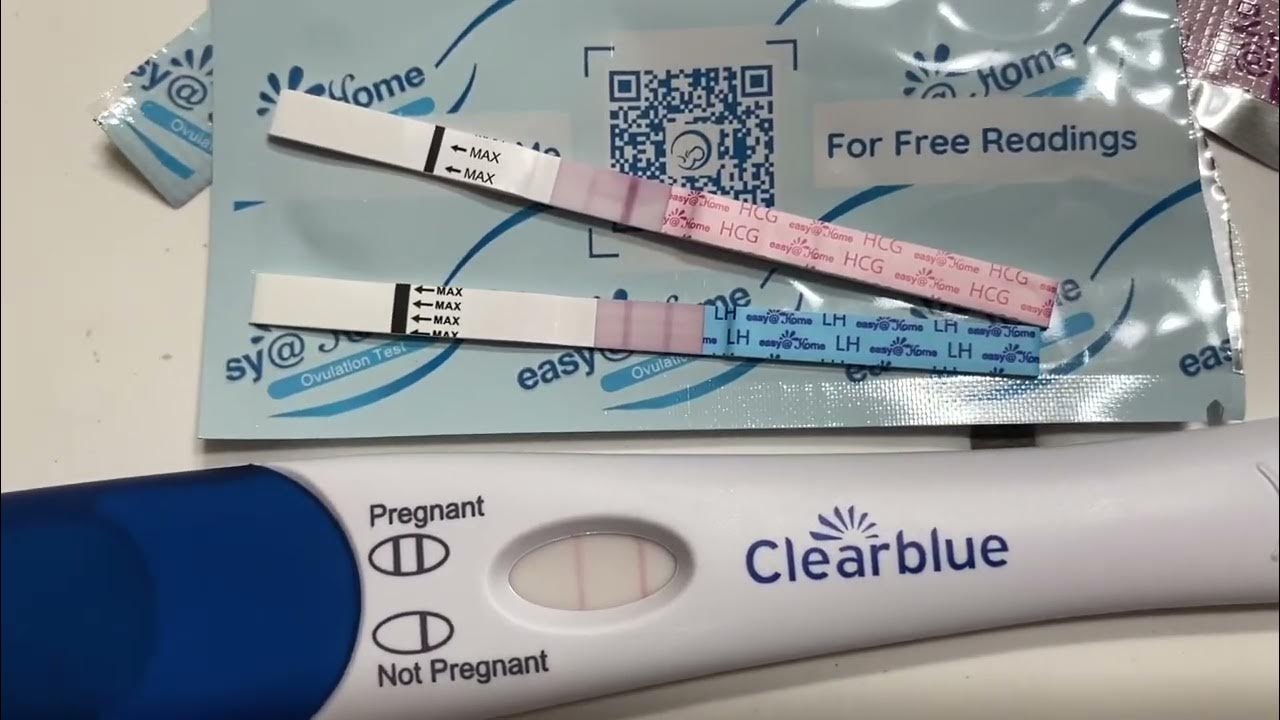 Can I Get Pregnant 2 Days After a Positive Ovulation Test? - Image