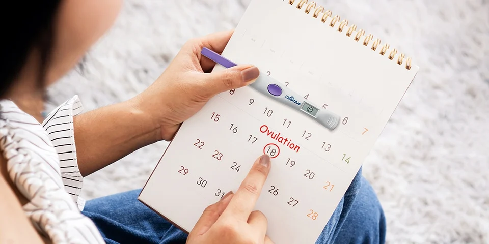 Ovulation Tracking Methods: Calendar, Temperature & Mucus - Image