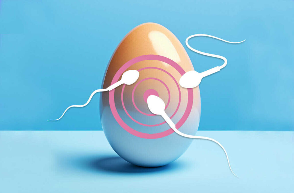 Ellsworth Plastic Surgery Egg Quality Improvement Techniques: Essential Lifestyle Changes for Fertility