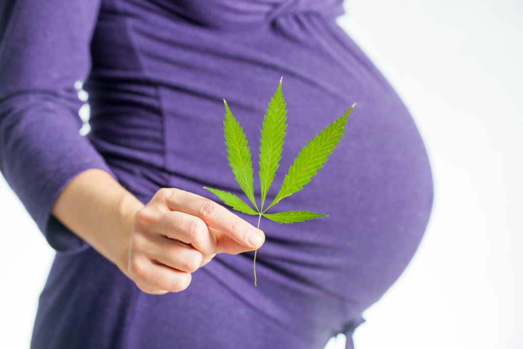 Ellsworth Plastic Surgery Marijuana use and its effects on male and female fertility