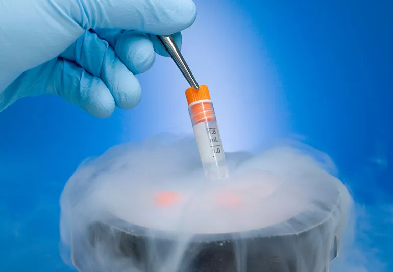 Egg Freezing Success Rates by Age: What the Latest Data Shows - Image